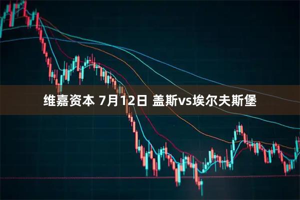 维嘉资本 7月12日 盖斯vs埃尔夫斯堡