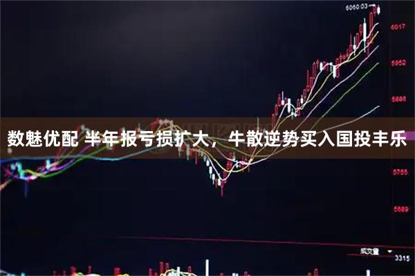 数魅优配 半年报亏损扩大,牛散逆势买入国投丰乐